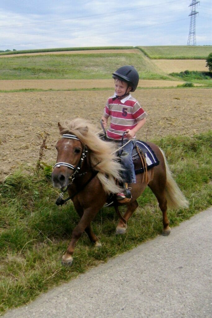 Ein kleiner Junge reitet auf einem Pony eine Straße entlang.