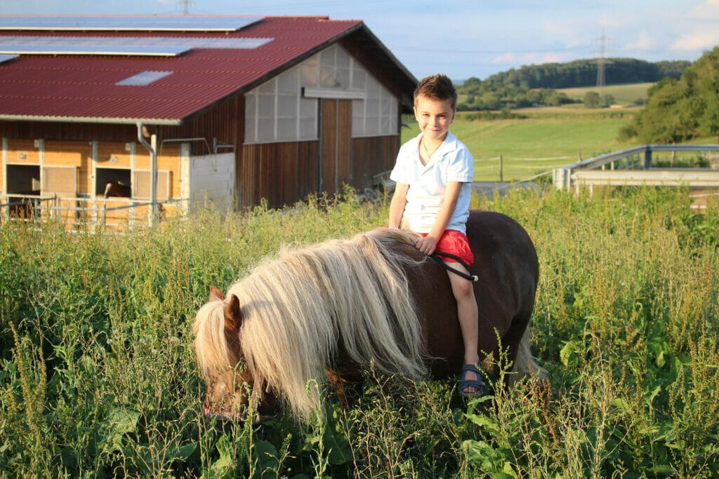 Ein Junge reitet auf einem Pony auf einem Feld.