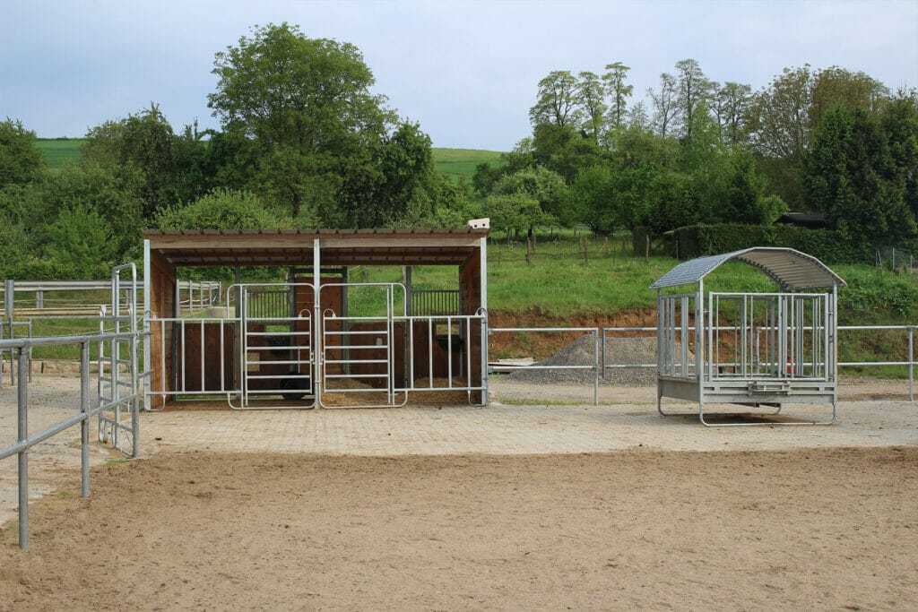 Ein eingezäuntes Gelände mit einem Stall für ein Pferd.
