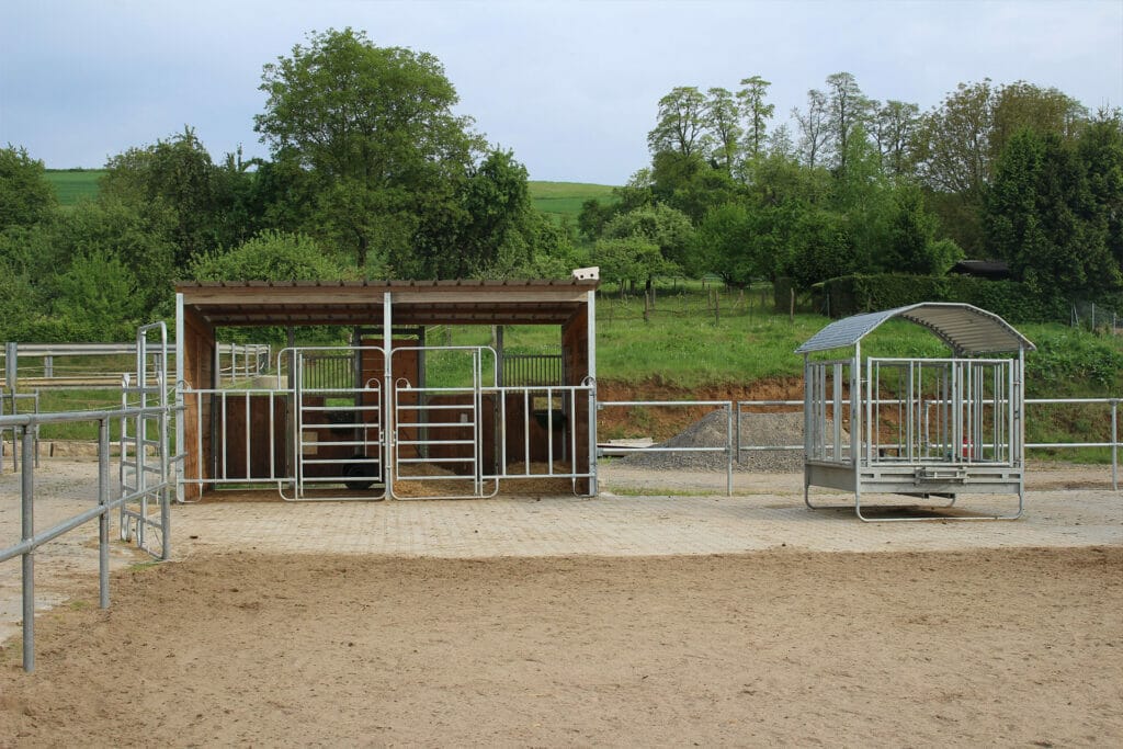 Ein eingezäuntes Gelände mit einem Stall für ein Pferd.